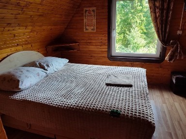 Будинок у Карпатах