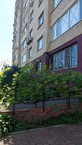 Одеська область, Одеса, Пересипський