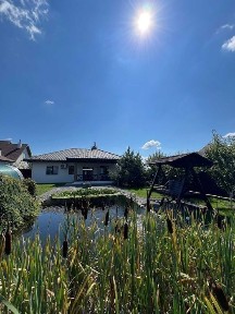 Київська область, Петрушки