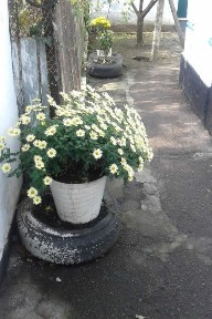 Дніпропетровська область, Дніпро, Новокодацький