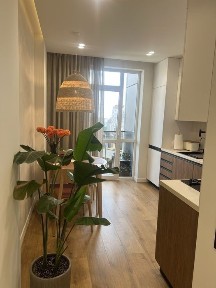 Львівська область, Львів, Шевченківський