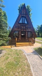 затишний дерев