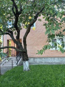 Продається 2 будинки в м. Городище, Черкаська обл.