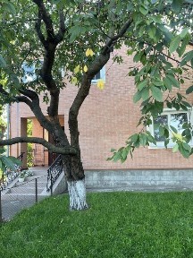 Черкаська область, Городище