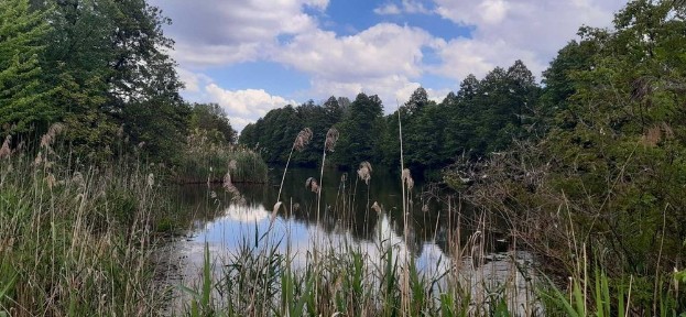 Дача. Ділянка з видом на каналі Дніпра.
