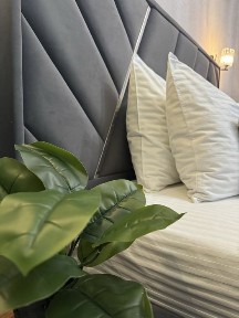 Київська область, Біла Церква