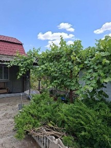 Продам дом г Вольнянск ул Украинская 43