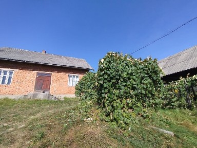 Будинок, земля, біля Карпат, близько інфраструктура