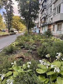 Дніпропетровська область, Дніпро, Шевченківський