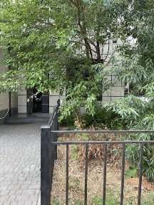 2эт. ЗДАНИЕ 600m2 на 8ст Фонтана ‼️ Каманина Аркадия || Каманина