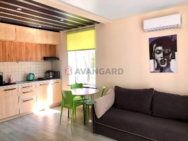 Аренда 1-комнатной квартиры 30 м², Лоцманский спуск