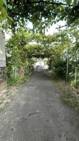 Закарпатська область, Сторожниця