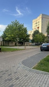 Рівненська область, Рівне