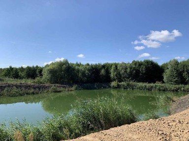 Продається будинок 65 м² з гаражем та ремонтом