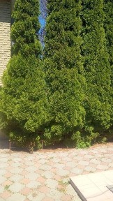 Київська область, Гатне