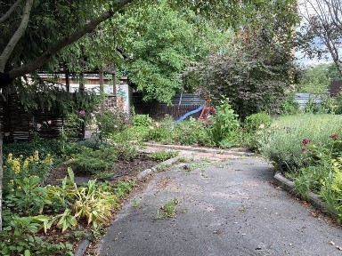 Київська область, Київ, Голосіївський