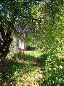 Продам будинок в Піщанці