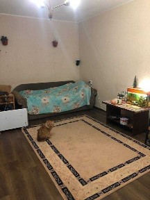 Київська область, Святопетрівське