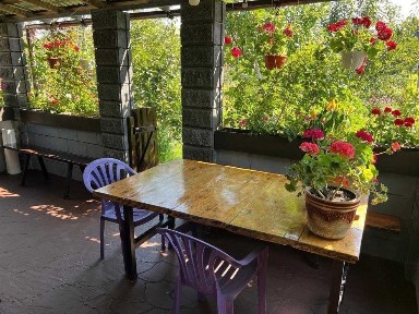 Дачний будинок з ділянкою