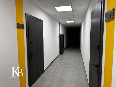 Дніпропетровська область, Дніпро, Шевченківський