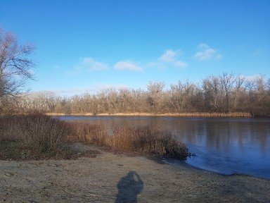 Дом +участок прямо на псле