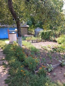 Продам дім у селі