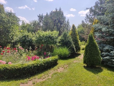 Будинок с. Родниківка, вихід до ставка