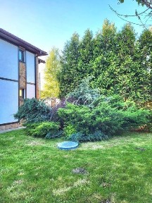 Київська область, Київ, Дарницький