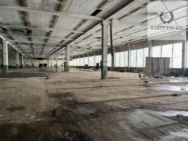 Тернопільська область, Тернопіль