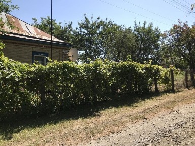 Продається будинок в с Мліїв, Черкаська область