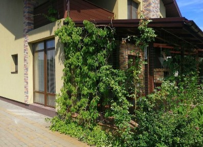 Власник. Оренда просторого та затишного будинку в тихому районі.