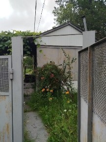 Житомирська область, Давидівка