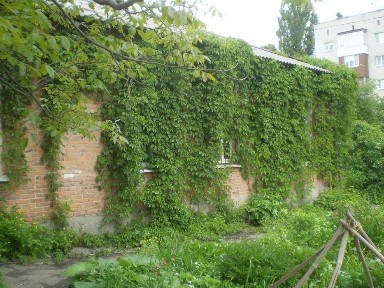 Екобудинок в центрі Житомира частина будинку 88 кв. м. прив. землі 4 с.