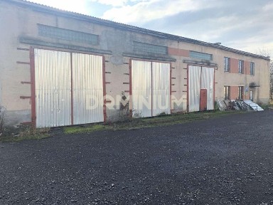 Закарпатська область, Хуст