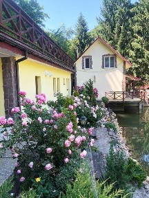 Подобово будинок в с. Шаян Закарпатье Карпати