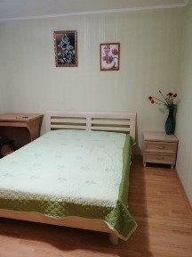 Чистая квартира. Новий год. Посуточно