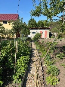 Вишгородський район с. Жукин СТ Букет Sosnovel