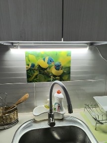 Житомирська область, Житомир, Центр