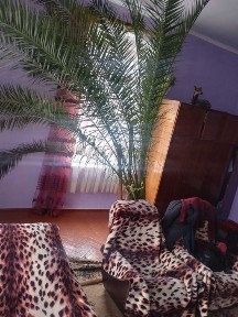 Продається квартира 50,2 кв. м. Бучач. Галицька. Центр. (ПриватБанк)