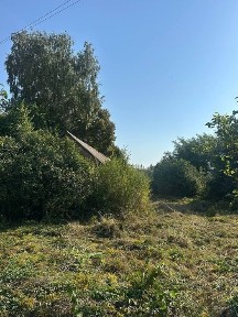 Терміново! Торг! Продаж будинку (земельної ділянки), село Орестів