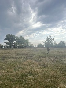 Продаж будинку на берегу Дніпра Аулы СЕРТИФІКАТ