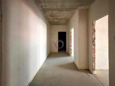 Волинська область, Липини