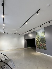 Закарпатська область, Мукачево