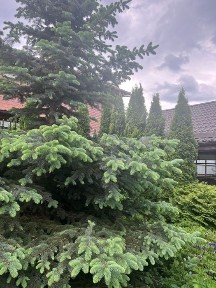 Харківська область, Харків, Шевченківський