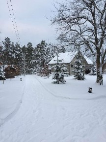 Дом посуточно 25 м², Лесная