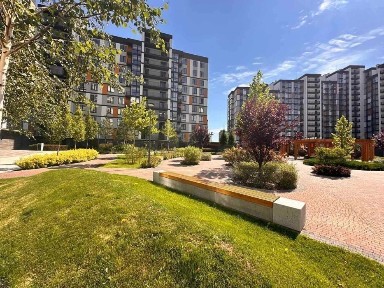 Київська область, Вишневе