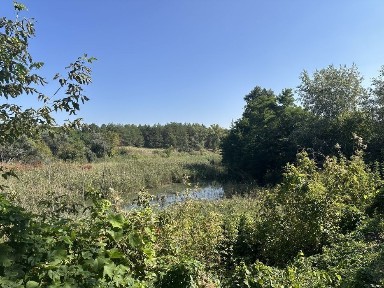 Продаж дачного будинку