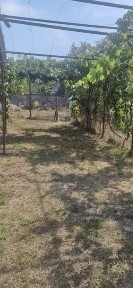 Продається будинок