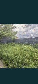 Київська область, Тарасівка