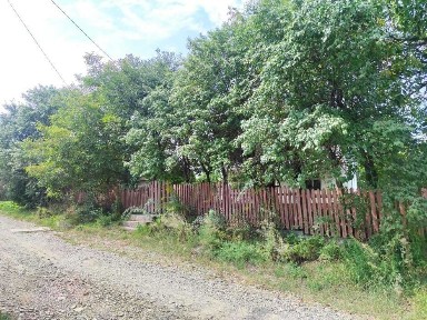 Чернівецька область, Чернівці